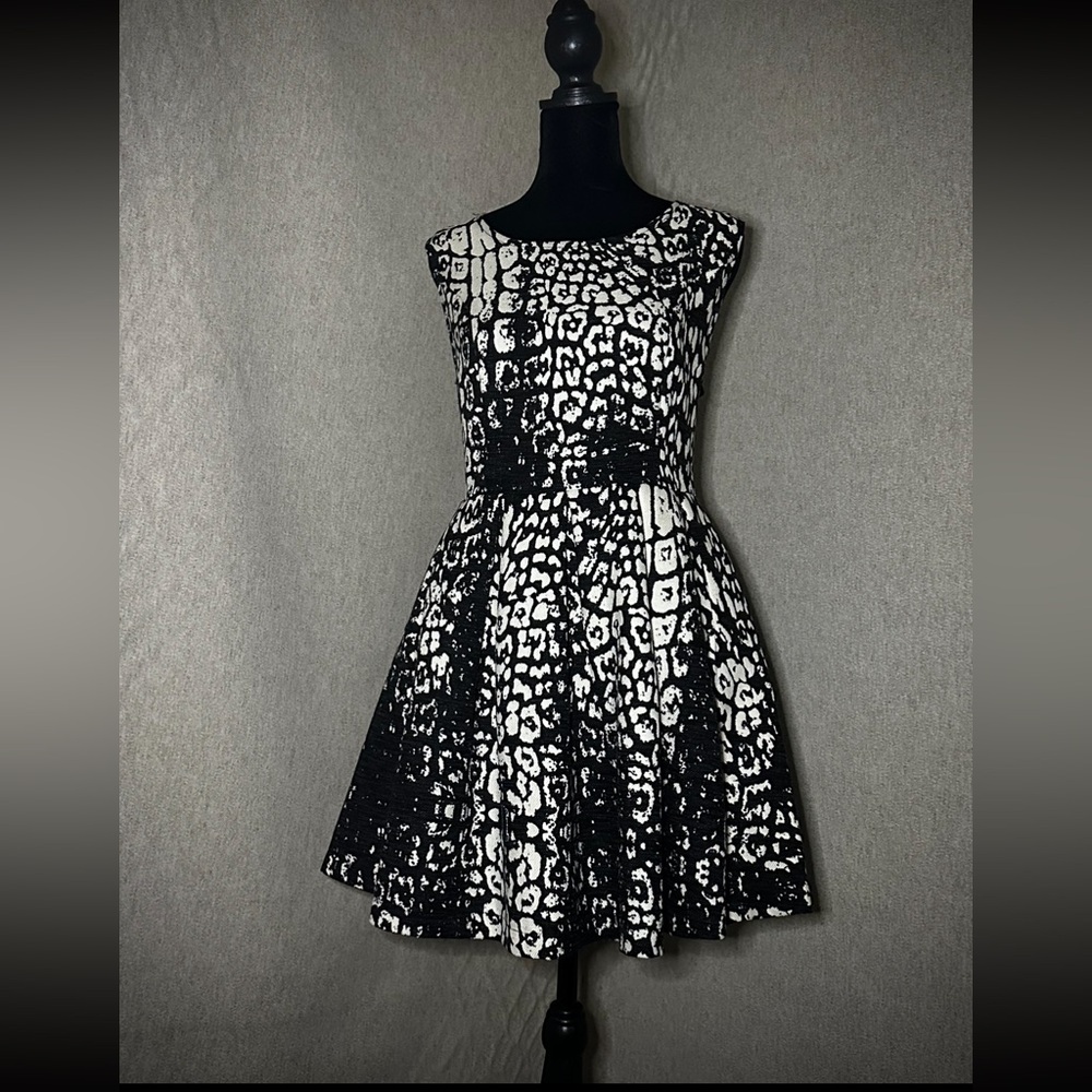 Wedding Guest Dress